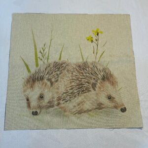 hedgehogs