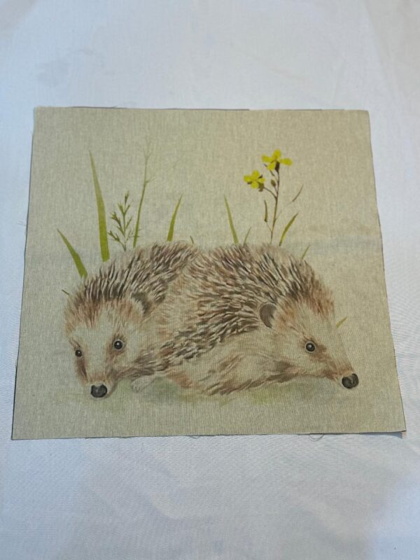 hedgehogs